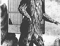 Morehead to conduct Die Zauberflöte